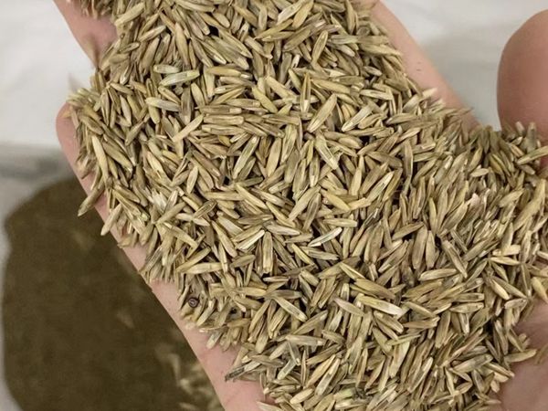 1680578373436265.jpg 微信圖片_20230404100735.jpg