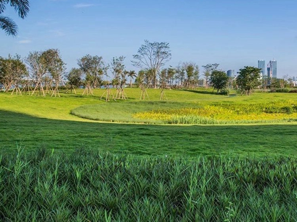 1680580421500554.jpg 草坪10_副本.jpg