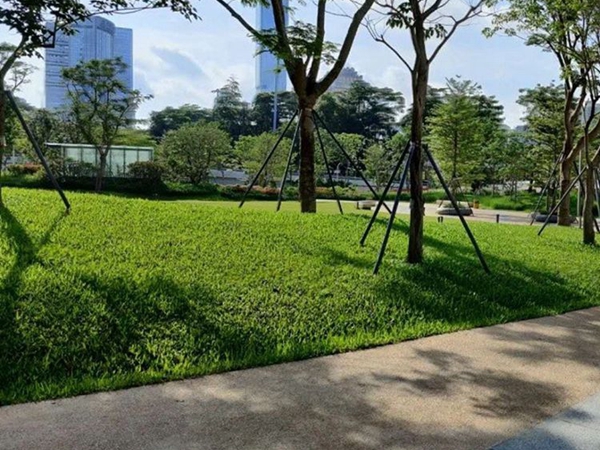 1680686295358051.jpg 草坪15_副本.jpg