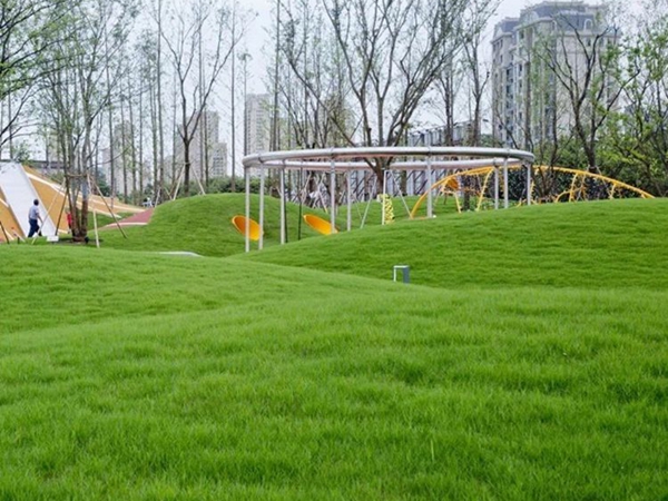 1680844562239242.jpg 草坪5_副本.jpg