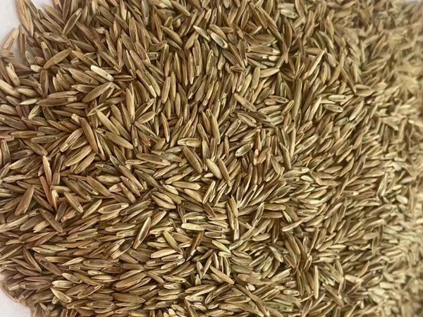 1680863306251007.jpg 微信圖片_20230404100719.jpg