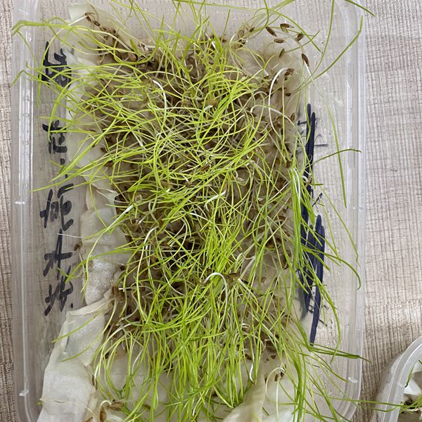 1680863926222573.jpg 微信圖片_20230405163329.jpg