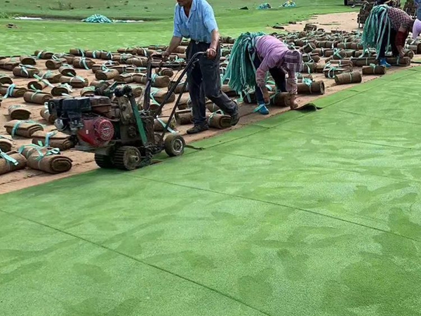 1681383851550511.jpg 草坪3_副本.jpg