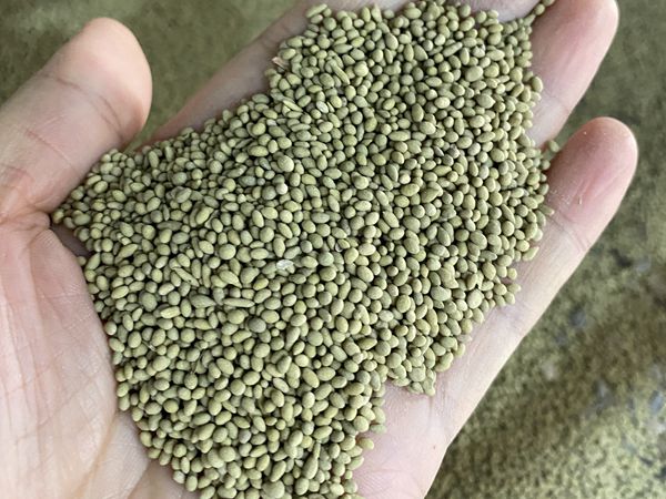 1681384763307258.jpg 微信圖片_20230404100456.jpg