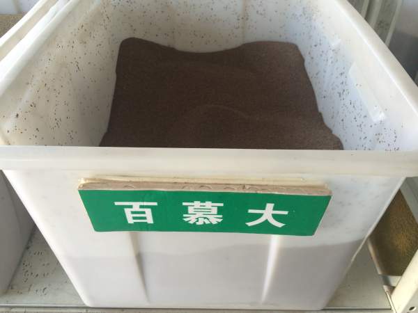 1681905735417060.jpg 百慕大.jpg