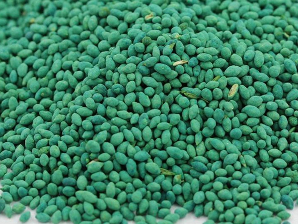 1682141308369993.jpg 早熟禾種子22_副本.jpg