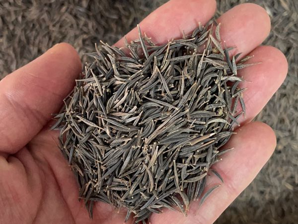 1682236916176745.jpg 微信圖片_20230404100652.jpg