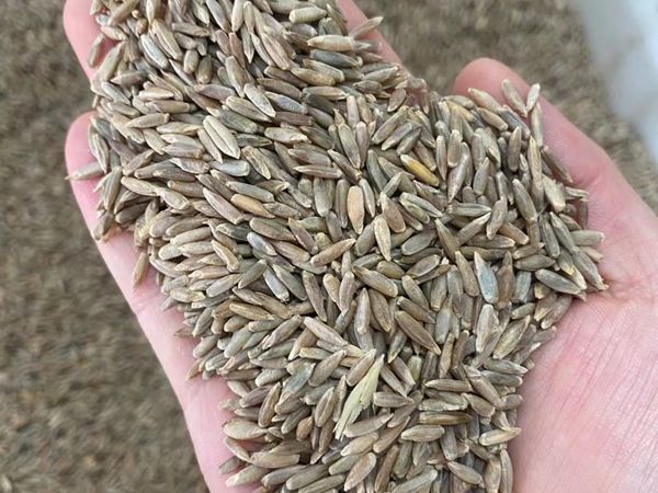 1682237327356702.jpg 微信圖片_20230404100549.jpg