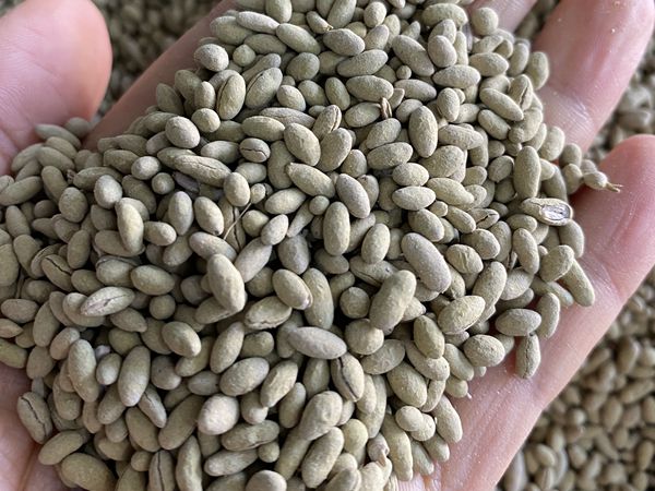 1682237702147302.jpg 微信圖片_20230404100512.jpg