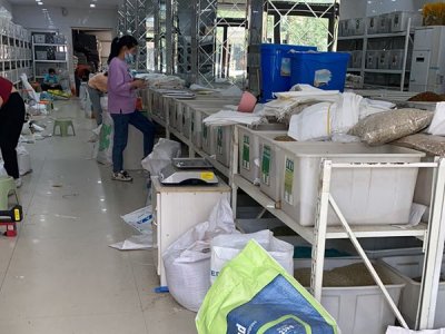 草坪種子價格一般多少錢？