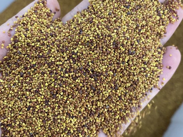 1682240367477102.jpg 微信圖片_20230404100725.jpg