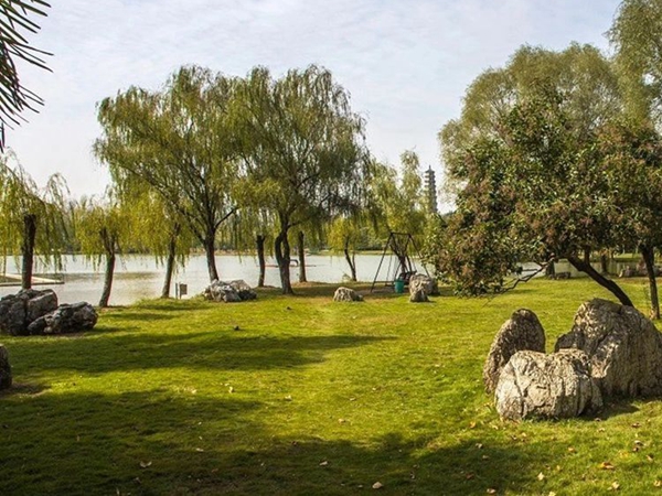 1682240546791491.jpg 草坪12_副本.jpg