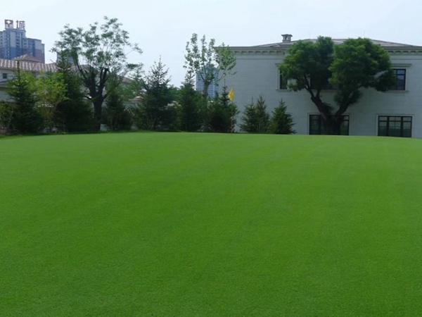 1682241089893588.jpg 草坪9_副本.jpg