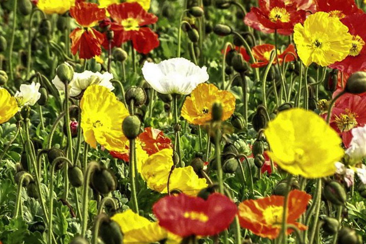 1682675936648280.jpg 1 (2).jpg