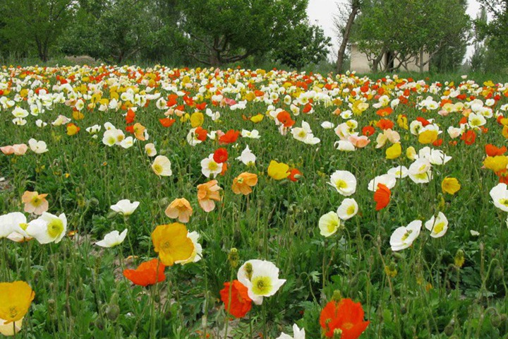 1682675956693590.jpg 2 (2).jpg