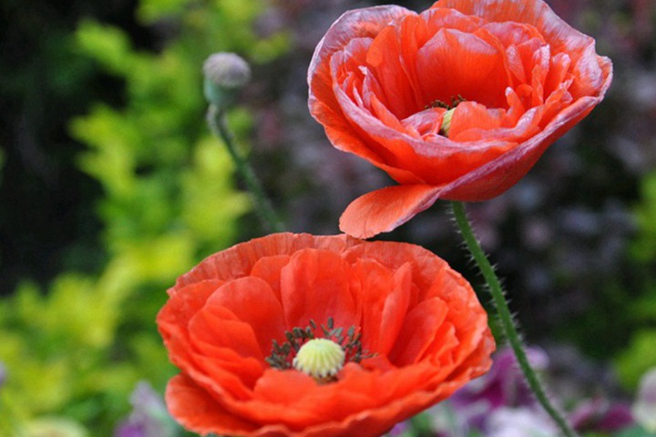 1682676019172682.jpg 8.jpg