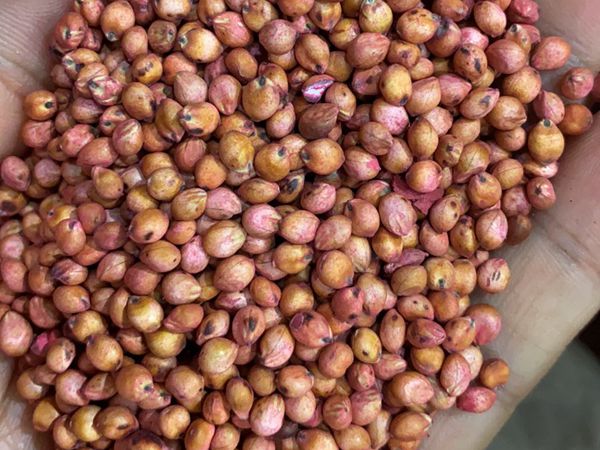 1682676213787000.jpg 微信圖片_20230404100810.jpg