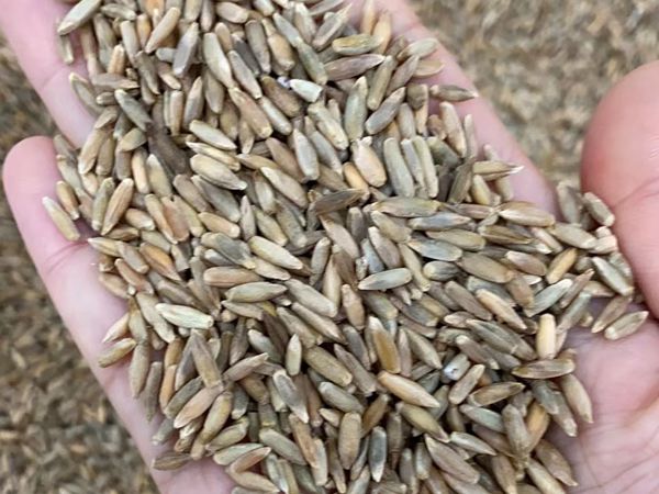 1682677984362450.jpg 微信圖片_20230404100745.jpg