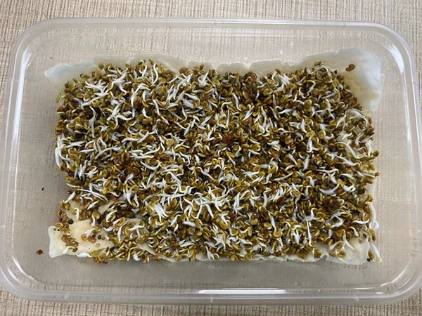 1682679239191443.jpg 微信圖片_20230404100706.jpg