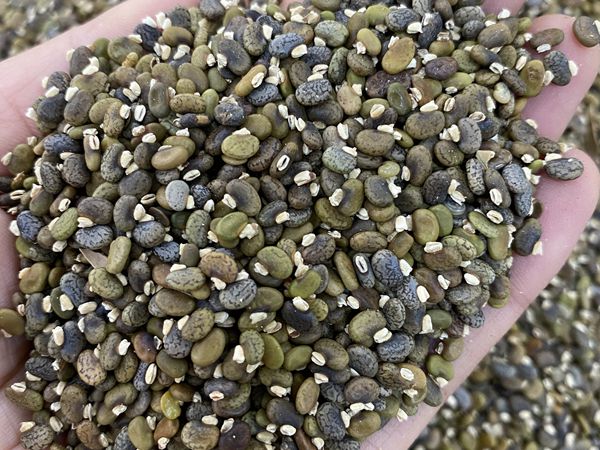 1682679308803555.jpg 微信圖片_20230405163358.jpg