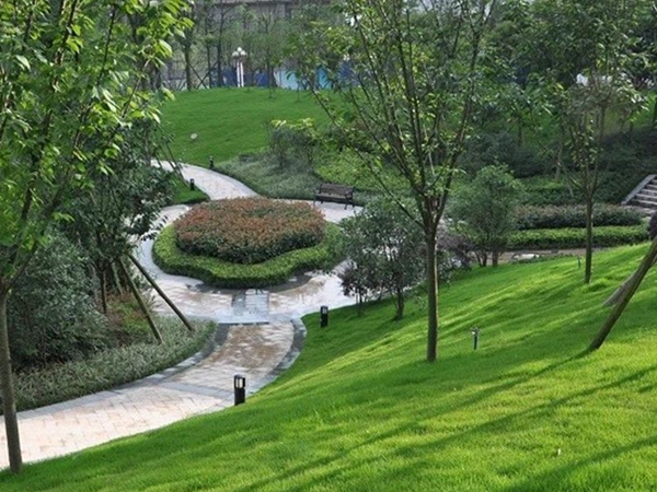 1682679620678134.jpg 草坪13_副本.jpg