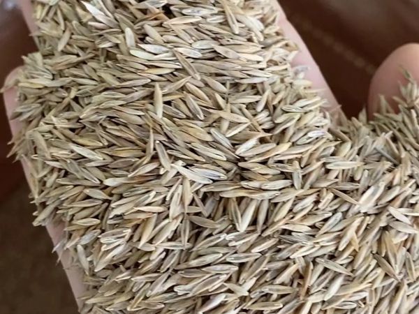 1682680117942143.jpg 微信圖片_20230404100730.jpg