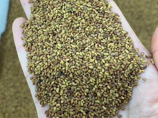 1683172733607912.jpg 微信圖片_20230404100740.jpg