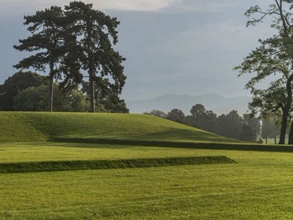 1683177471593724.jpg 草坪6_副本.jpg