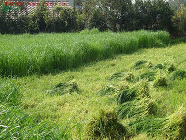 1683283200881977.jpg 2_副本_副本.jpg