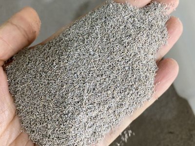 草坪種子種植要浸泡多長時間