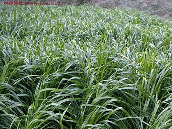 1683285808468154.jpg 4_副本_副本.jpg