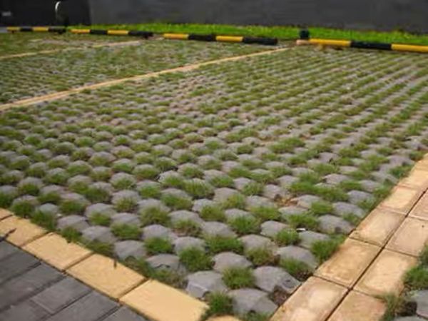 1683356597221913.jpg 草坪磚.jpg