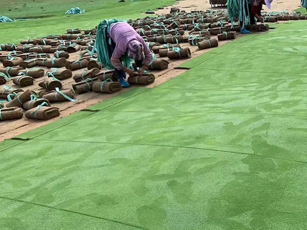 1683612129341864.jpg 草坪1_副本.jpg