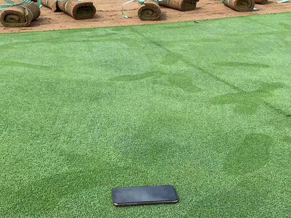 1683720771183109.jpg 草坪2_副本.jpg