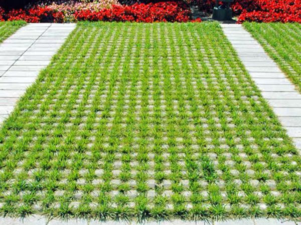 1684483990618926.jpg 草坪磚2.jpg