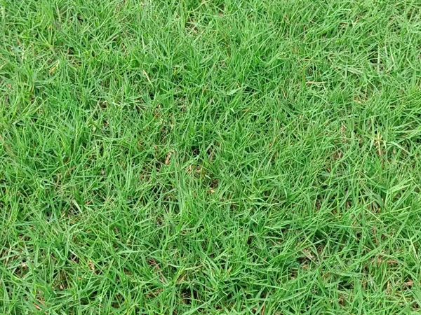 1684728625840851.jpg rt.jpg