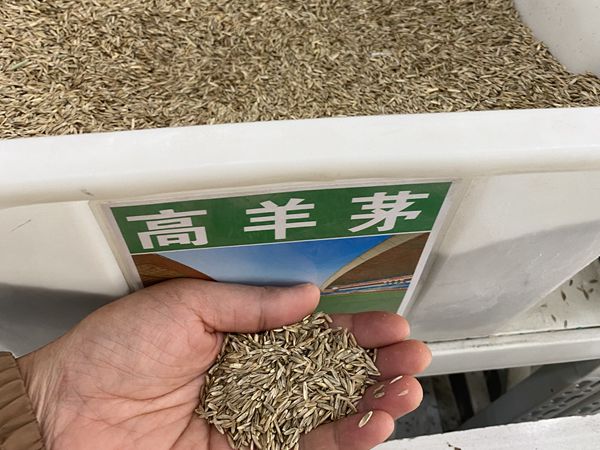 1685009440769214.jpg df.jpg