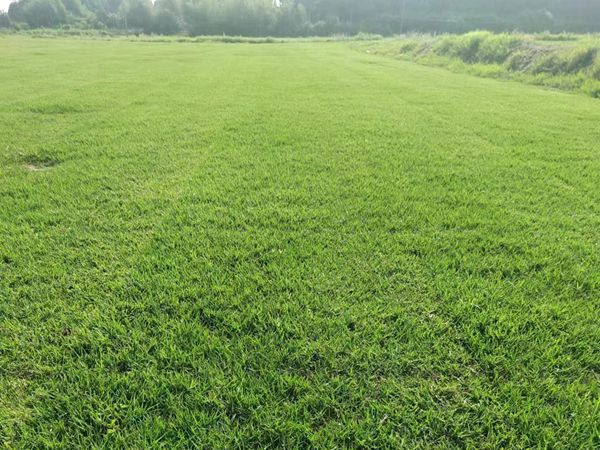 1686218198565840.jpg er.jpg