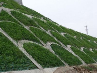 邊坡噴播植草多少錢一平方？