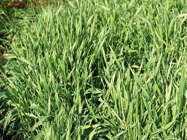 1686382229915882.jpg 6_副本_副本.jpg