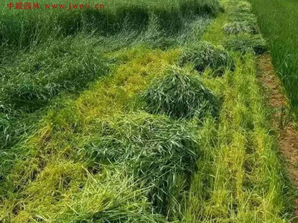 1686382266548310.jpg 1_副本_副本.jpg