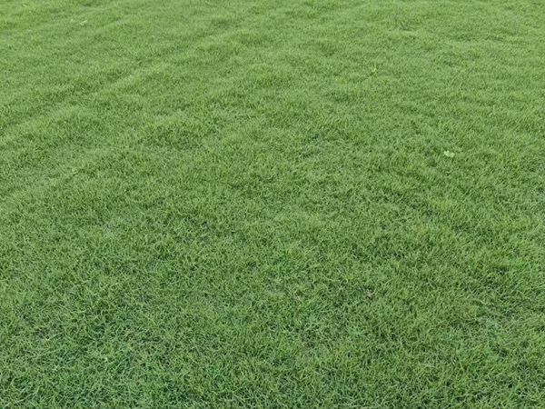 1686656049551041.jpg qw.jpg