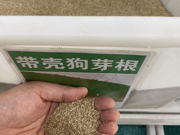 1687262808602350.jpg 種子2.jpg