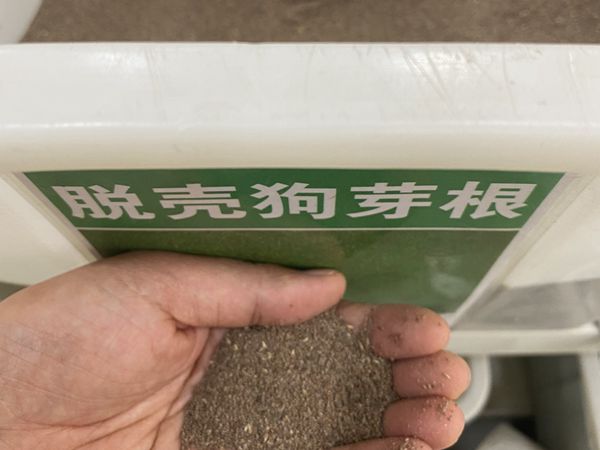 1687262831585564.jpg 種子.jpg