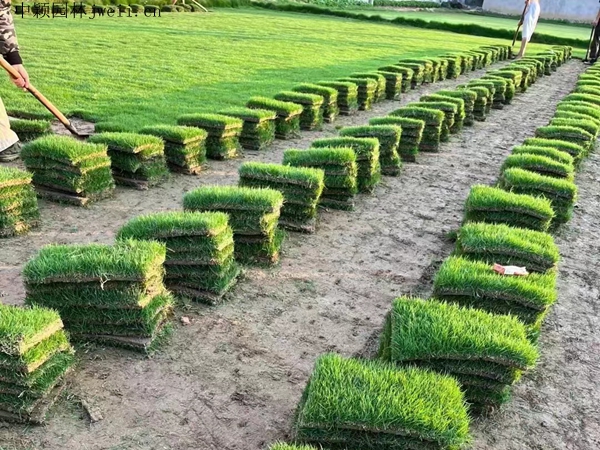 1687332748172648.jpg 微信圖片_20230620191236.jpg