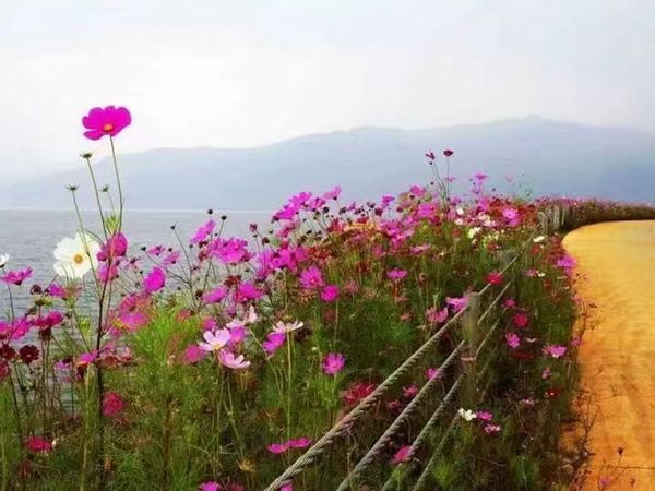 1687597258871158.jpg 微信圖片_20230325175743.jpg