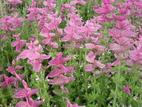 1688381808774479.jpg 2302002Q3-4.jpg