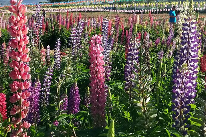 1690020404354406.jpg 13.jpg