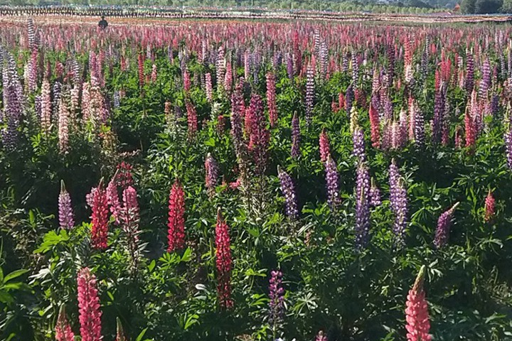 1690020430720400.jpg 11.jpg