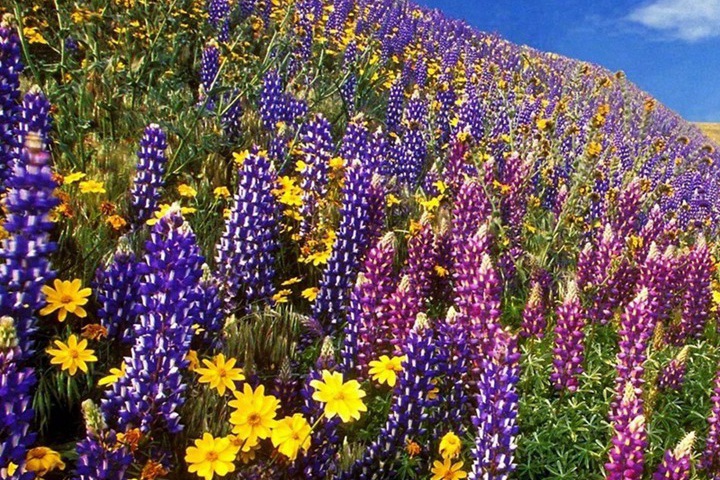 1690020456848367.jpg 21.jpg